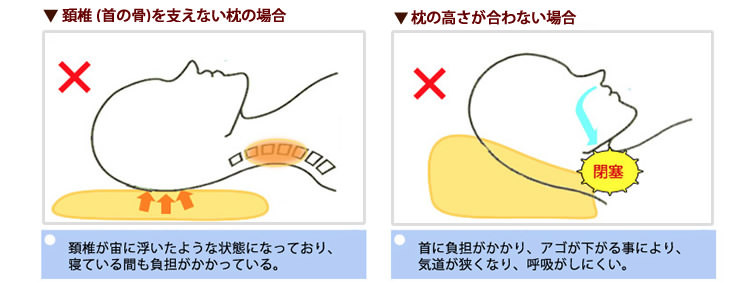 枕モットン